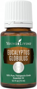 Young Living Eucalyptus Globulus Essential Oil