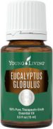 Eucalyptus Globulus Essential Oil