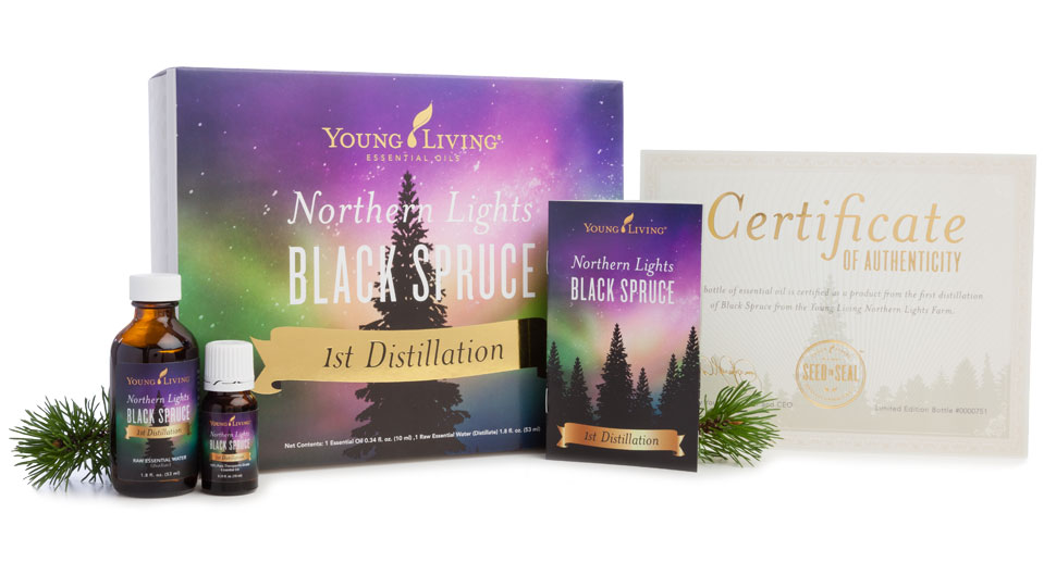 Northern Lights Black Spruce 1st Distillation Edition - Young Living
